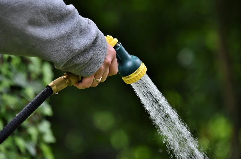 Upcycled Watering Cans
